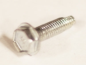 Screw