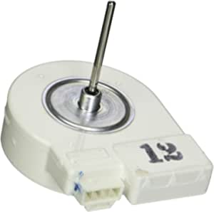 Fan Motor