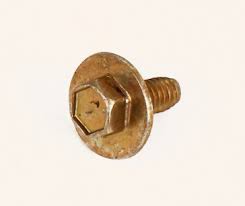 Screw
